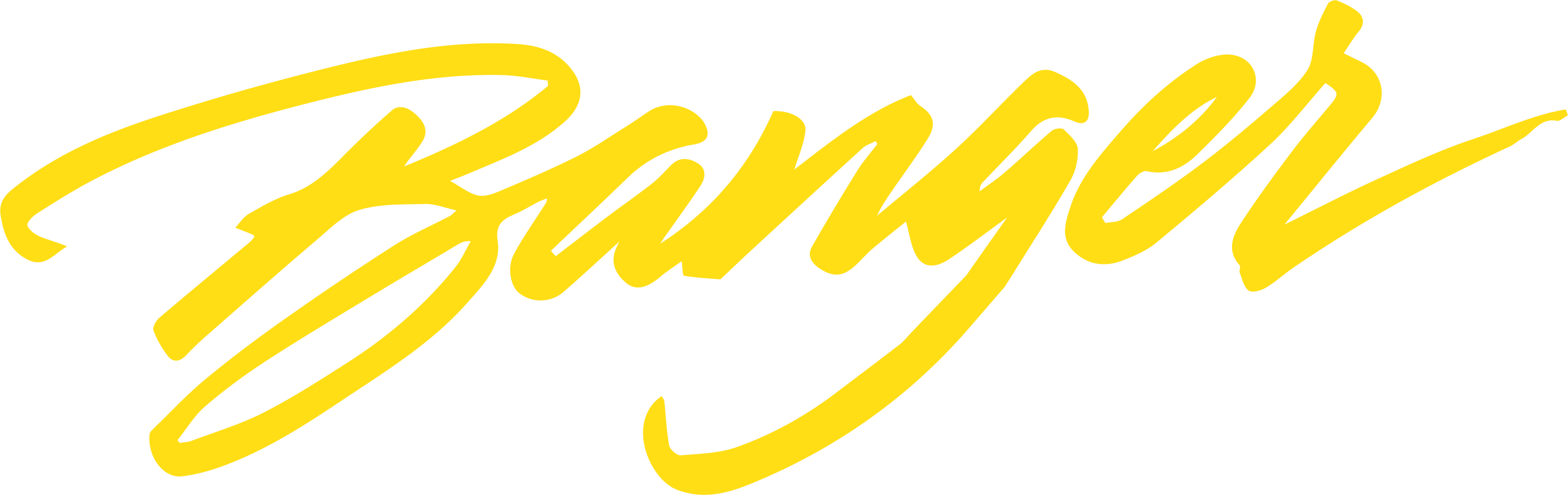 Banger Sauce Co.